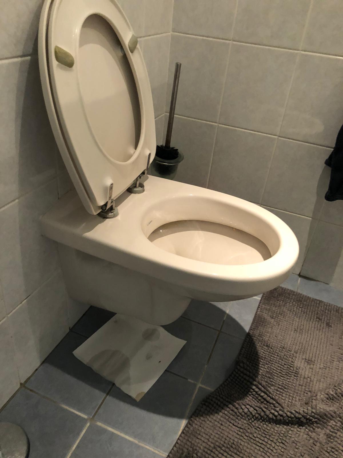 hangtoilet Voorschoten